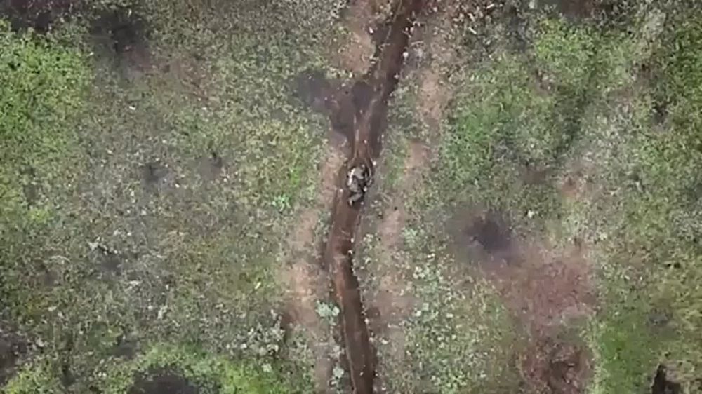 ��� ���������� ��� ���� ���������� ������������, ������� ���������������� � ����