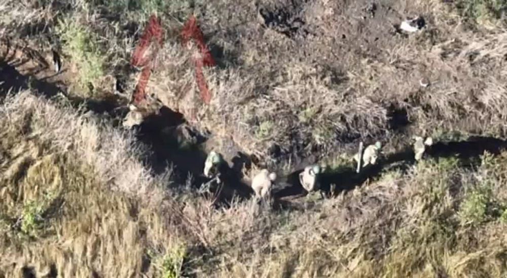 ��������� ���� ����� ������� � ������ �������� ���������� ��������� ���������