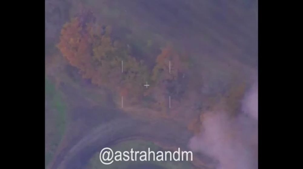 ������� ���������: ����������� ������� ���� � ����������� 11 ����� �� ���