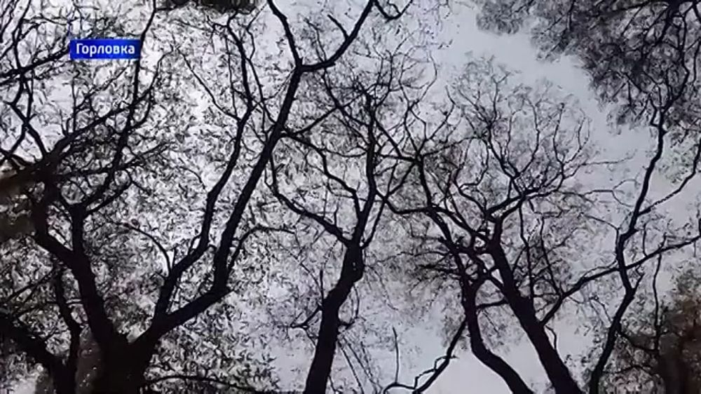 ��� ������ �������� ������ ��������� � ��������