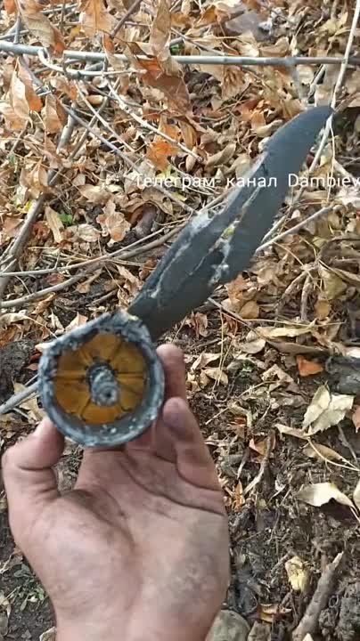 ������������ ���������� ������������� ����������� ���� "������" ���������� ��� 9�35 �������-10� � ������ ���������� (�������)