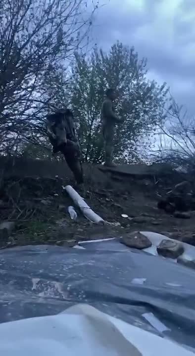 ����� �� ��������� (������) �������� � ����� �����������