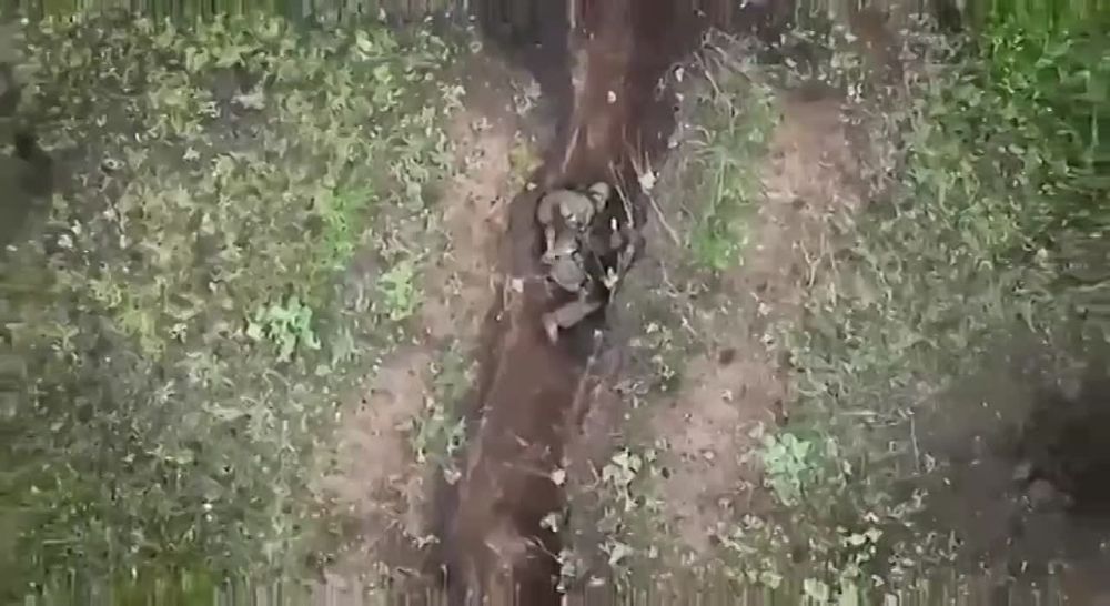 ����� ��������, ��� ���� �����, ������������ ������������� �� ���� ��������� �������
