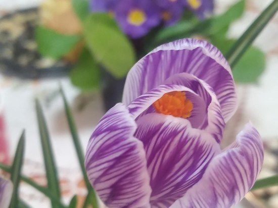 �������� ��������: ������� �� ��������� �������� �� ����� ���������� ������