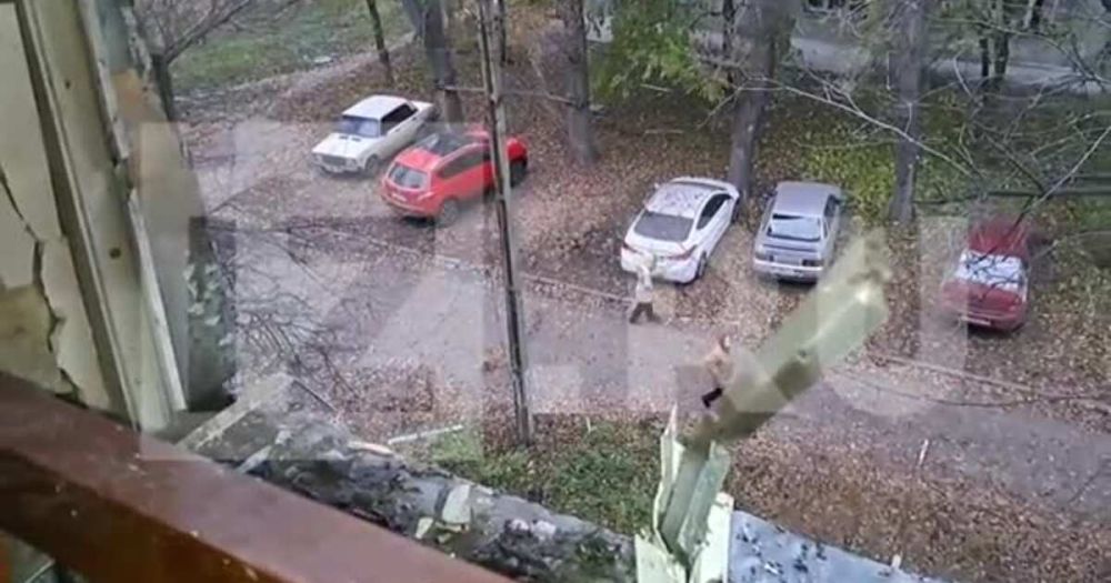 ����� ����������� ��������� ������� � �������� ������ ���� � �������