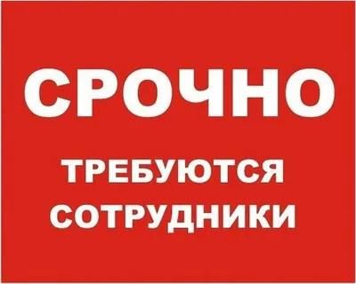 ���� ������������ ����� �2� ������ ���������:
