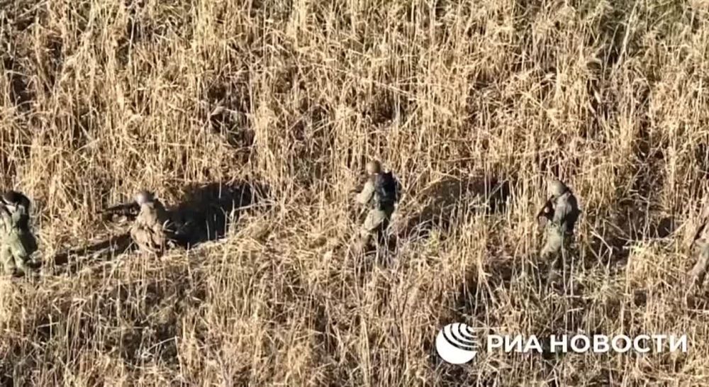 ���� �����: �������� ������� �� ���������� ����������� ������ ������ 2�� ��������� 1� ���������� �������