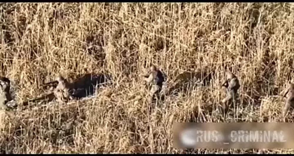 ��������� ������ 1-� ���������� ������� ��� ���������� �������� ��� ��� ���������