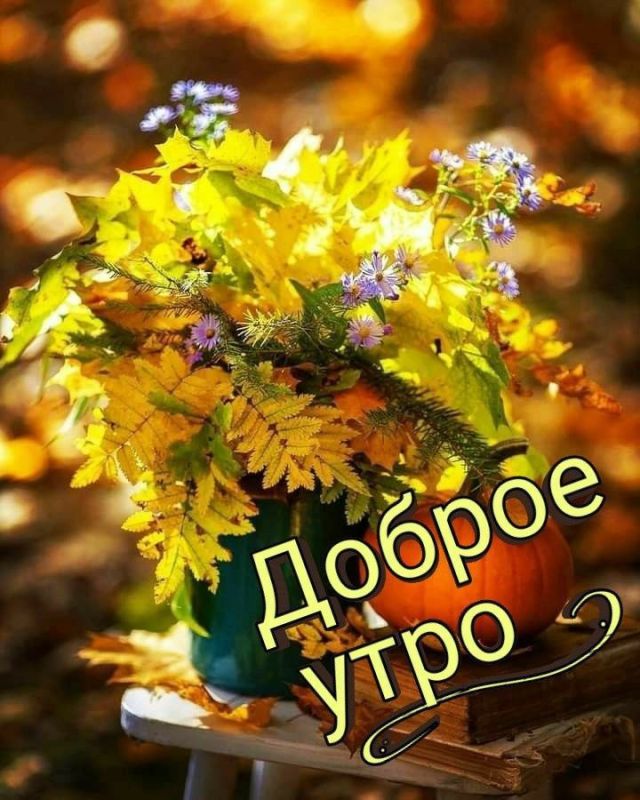 ������� �������: ����� ���� ���� ����� ������, ��������� � ����������