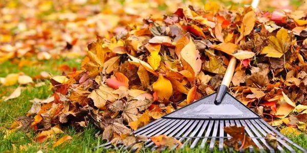 Объявление о проведении санитарного дня