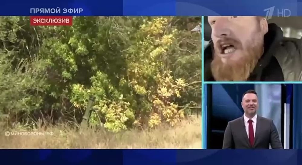 WarGonzo: ��-�����-����� ���������� � ���� ��� �� ������