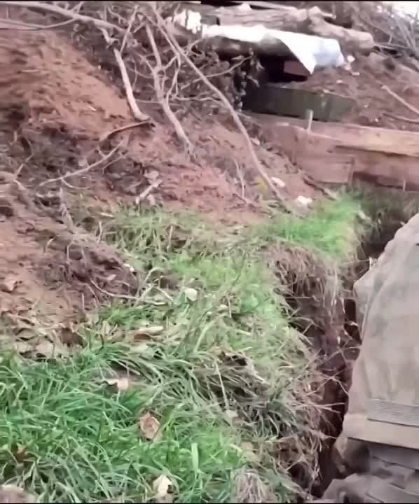 ������ ��������: ���� ��� "������" - ���� �� ����� ������������ � �������������� ������������� �� ���� �����