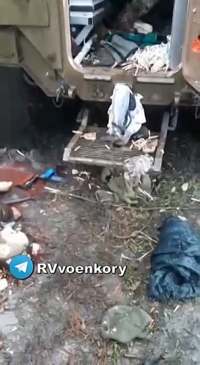 ���������, ���! ����� �������� �����: ���� ������ ���������� ������������� �������� ��������