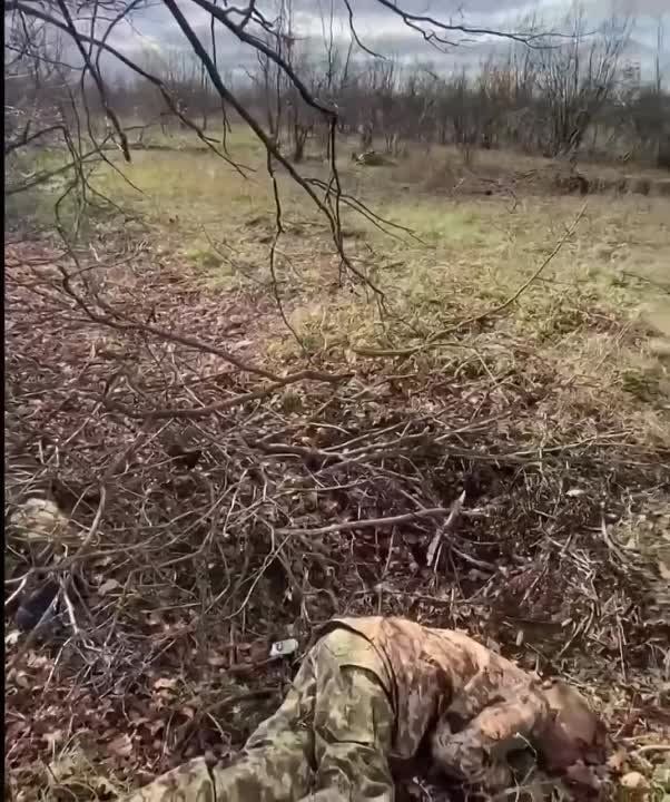 155-� ��� ��������� 7 ������������� � �������� ��������� ����� ���������