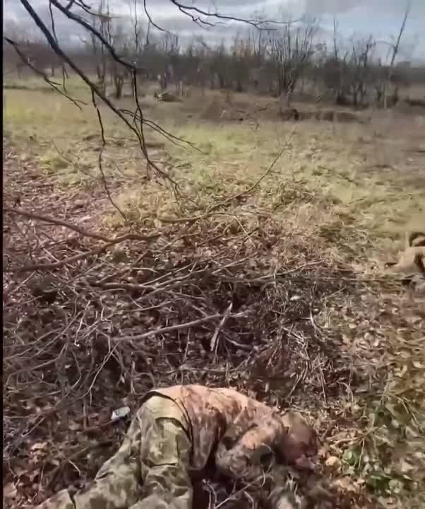 ����� �������� ����� ������� ���: ���� "������" � ������� �������������� ����� ��������� 18 ������� ������� �����