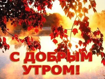 ������� �������: