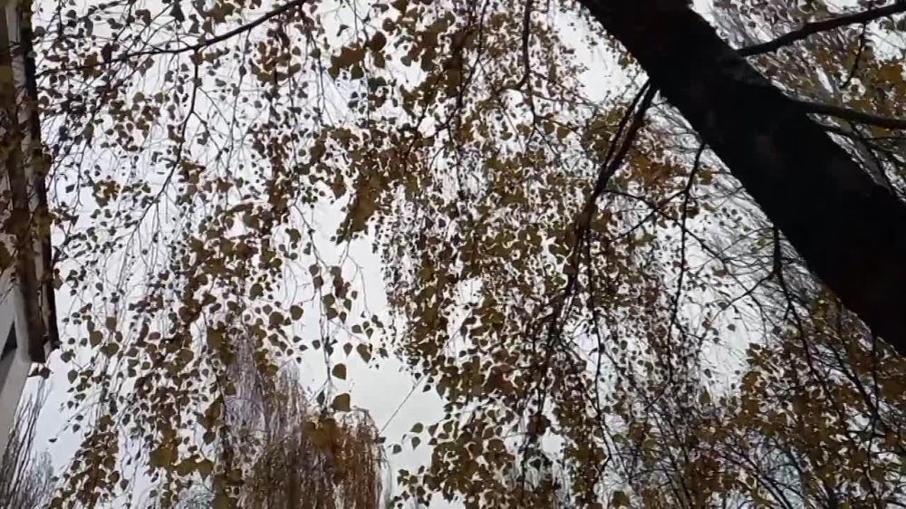 ������� ��������� ���������������� ��������� ��"��" ��������� � �������������� ������ ������� ����� ������� ������� � �������� ������������ ������ ��� �������������� ������� ������