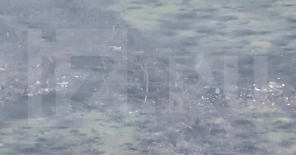 "��������" �������� ����� ������ �������� ������ ��� "�������"