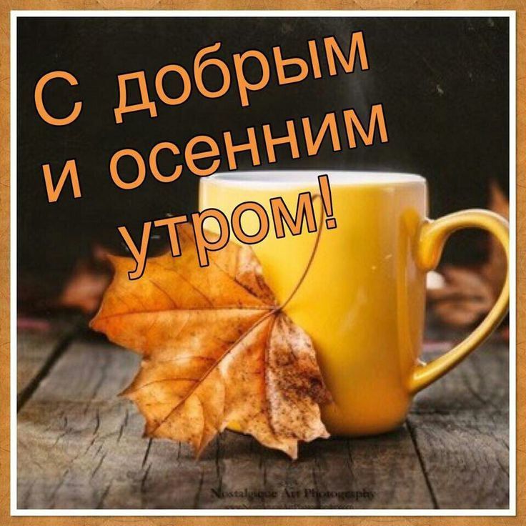 ������� �������: