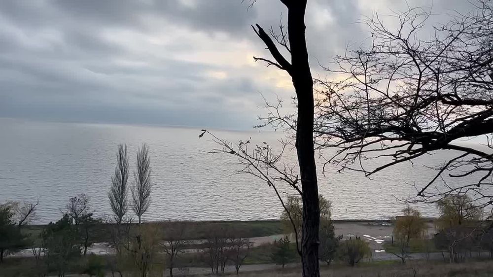 ������� �������: ���������� �� ������� ������� ����� ���� ���� ������ ����������� �������