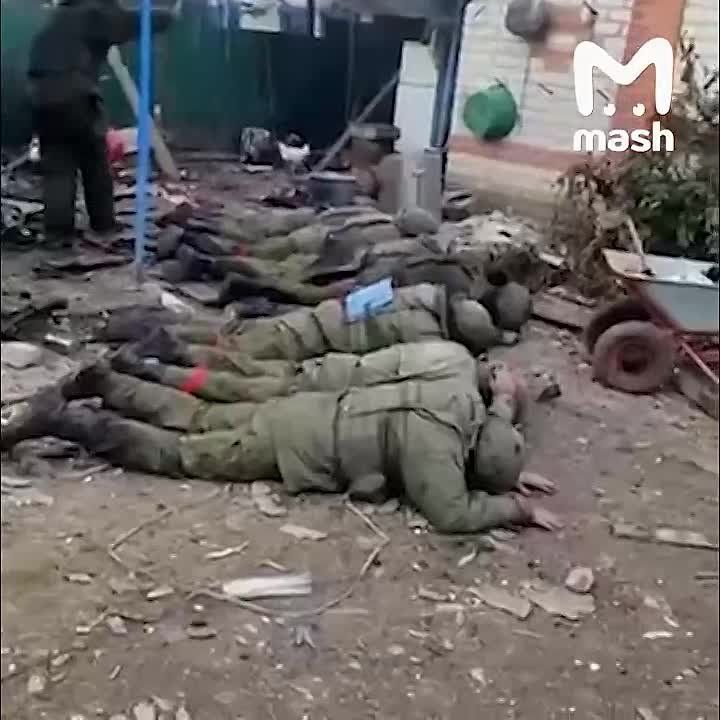 Ƹ����� ����� �� �������� � ��� � ������� ��� ��������� ���������� ������� �������, ���������� �� ����� � ������������� � �����