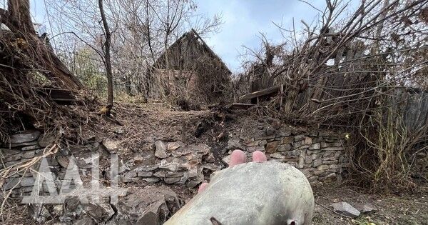 ��� �� ������ �� ��������� ������� 3 ������ ������, ��� 17 ������