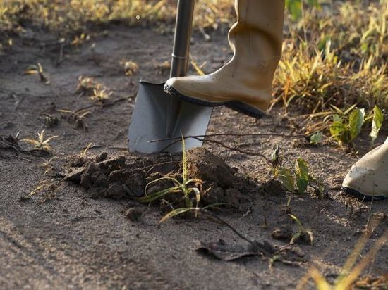 � ��� �� ������� �����, ��� � �������� � �������