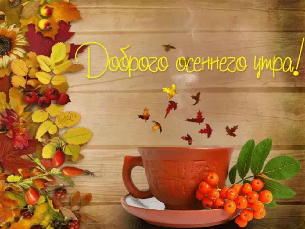 ������� �������: