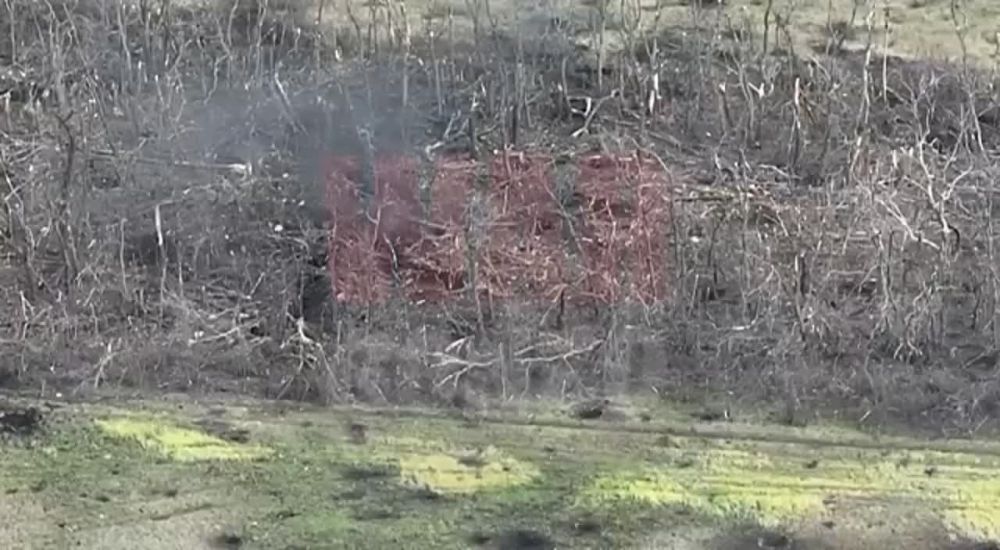 WarGonzo: ����� ������ ����� �� �������� �� �������� �������