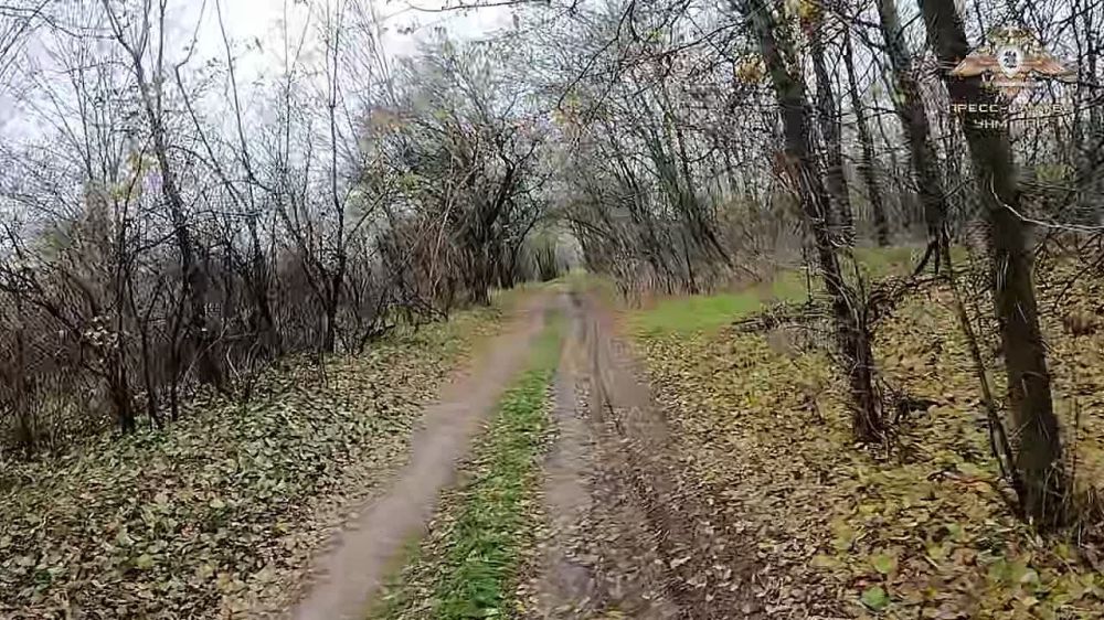 ��������� ����������� ������� ������ ���� �����