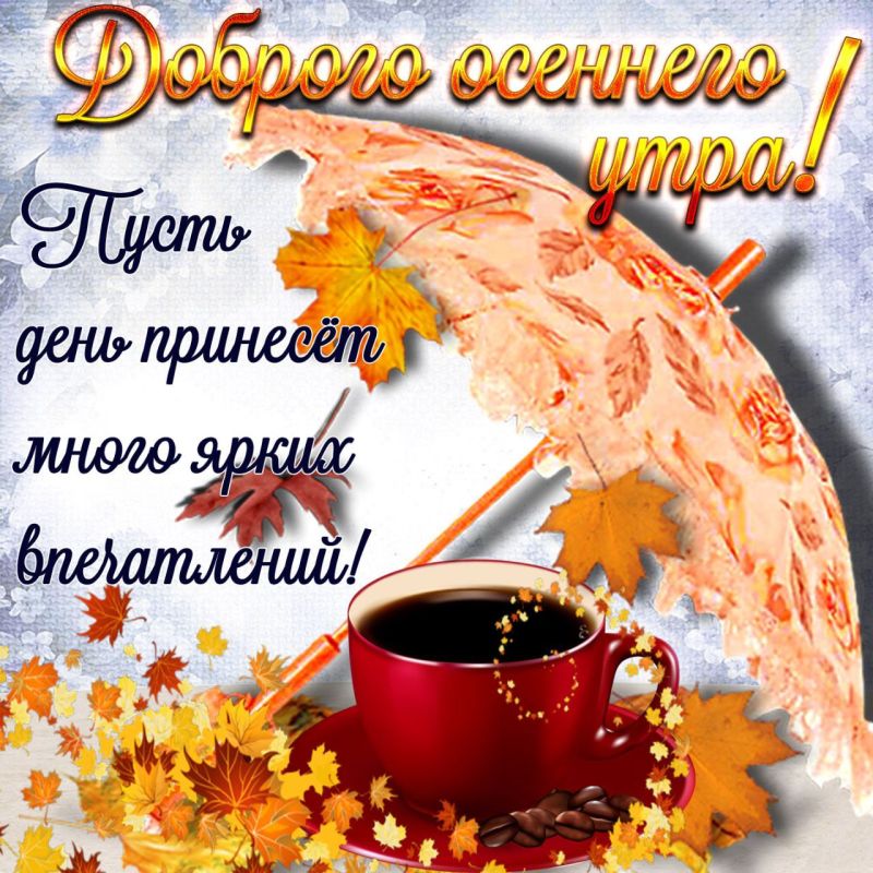 ������� �������: