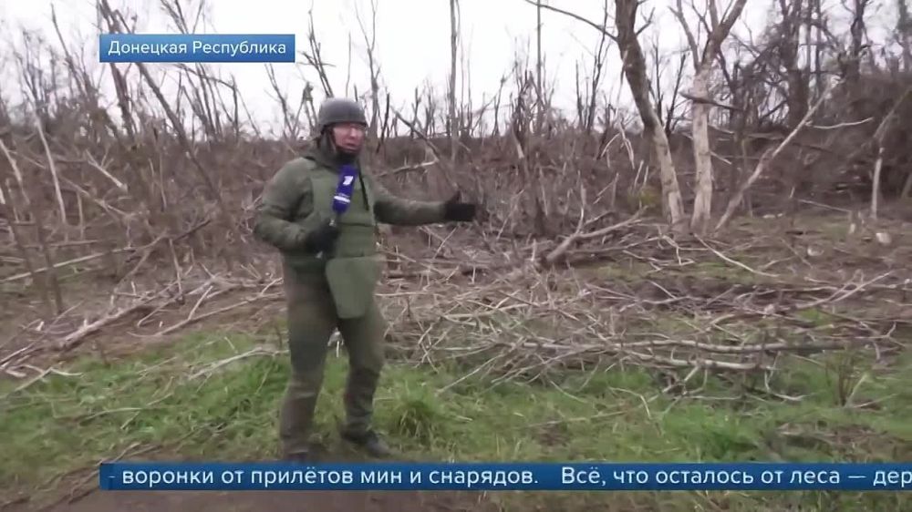 ������� ������: ����� ������ ����� ������� �� ��������� ��� ��������