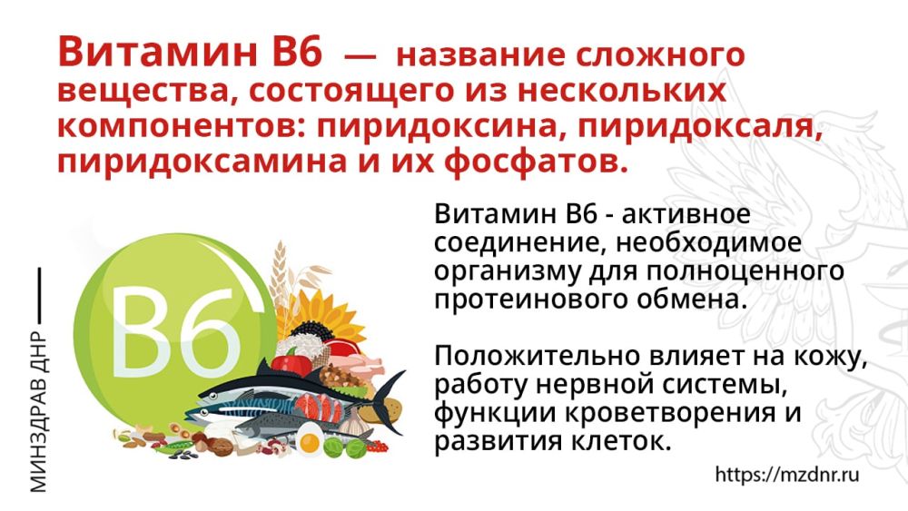 ��������, ������� ��������� �6:
