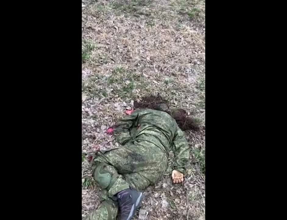 ���������� ����� ������������ ��������� � ������������ �������