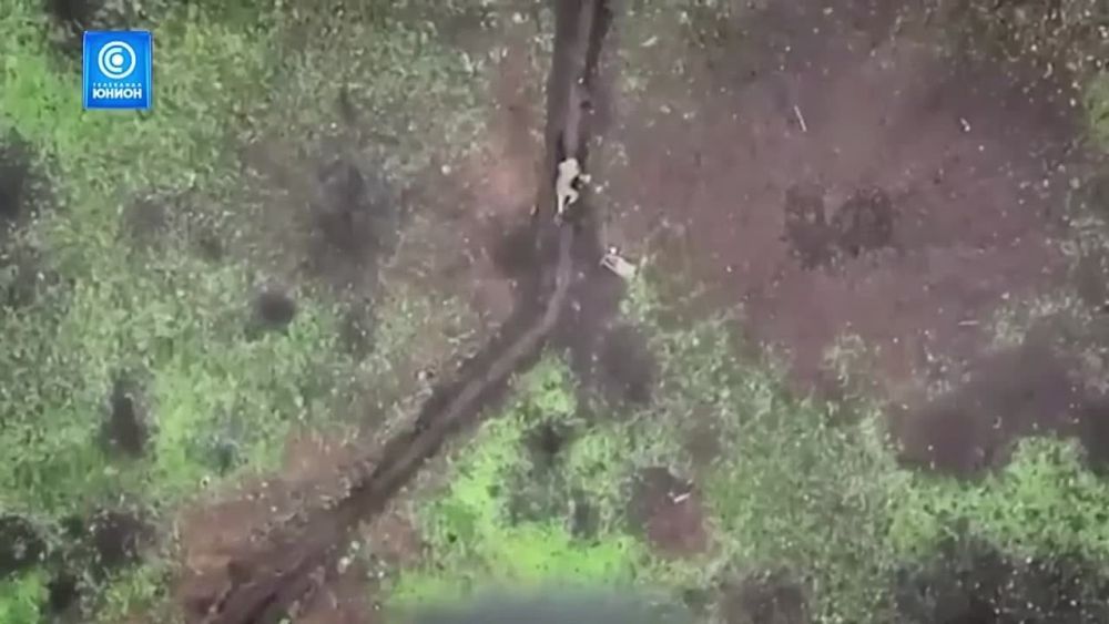 ������� �� ����� �������� ����� ����: ���� �� ��� ���� ������� ��� ����������!
