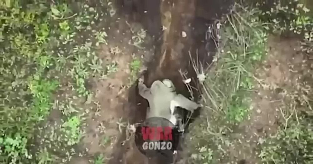 ��������� ������� ������ ������ � �������� WarGonzo