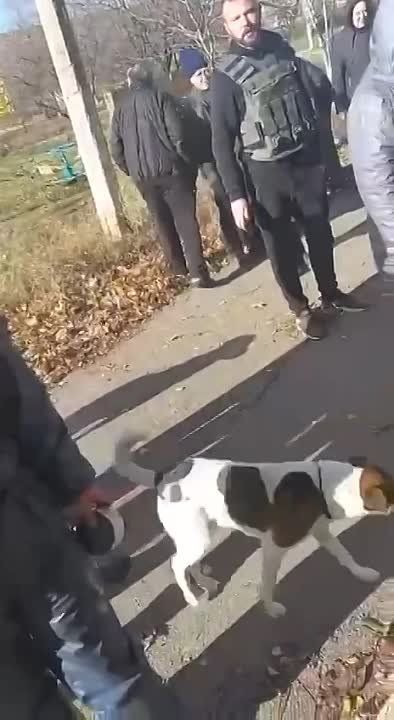 ����: ������ ��������� ���������� ��������� ���������� ������������ ������ � ������������ �� ��������