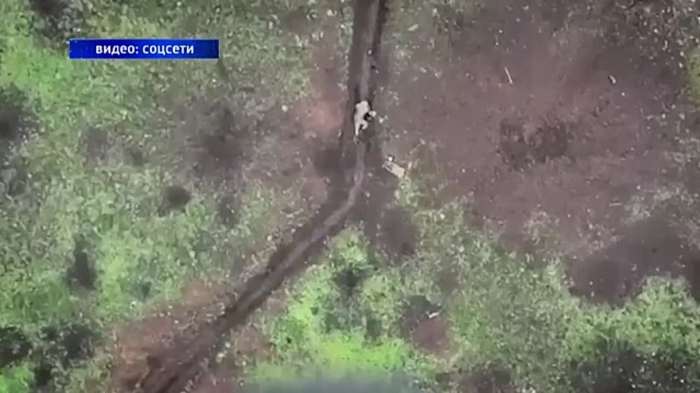 ������ ����������. ����� ��������� ������������� � ���� ����