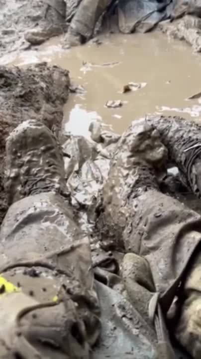 ������ ����� ����� �����
