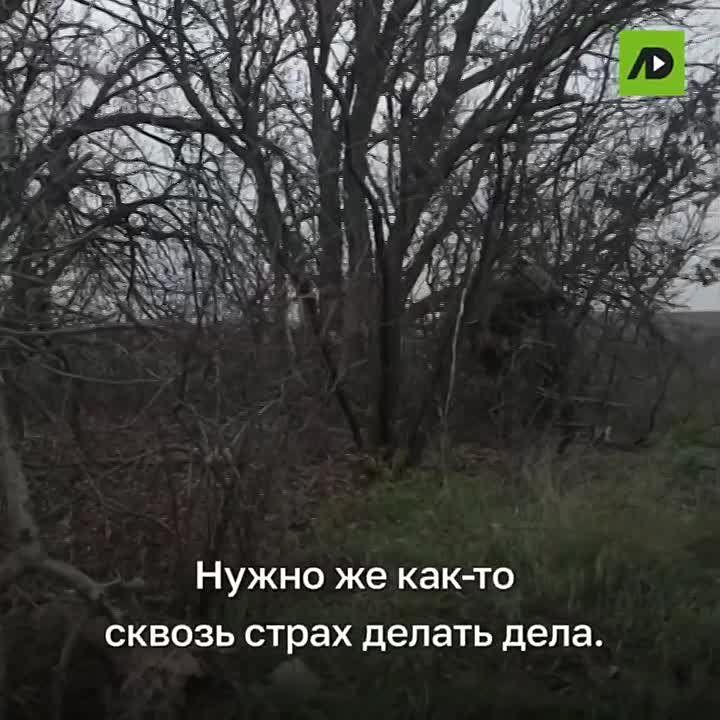 �������� ���� � �������� ��� � ��������� � 19 ���. ������ �� ��� ������� ����������