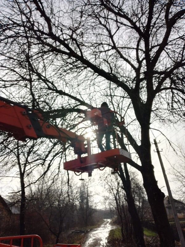 23 ноября работниками МУП «ГОРКОММУНСЕРВИС»