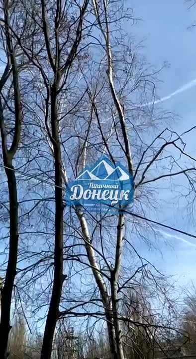 ������������ ����� �� ������ ���������� ������� � ���� ��� ����������, ���