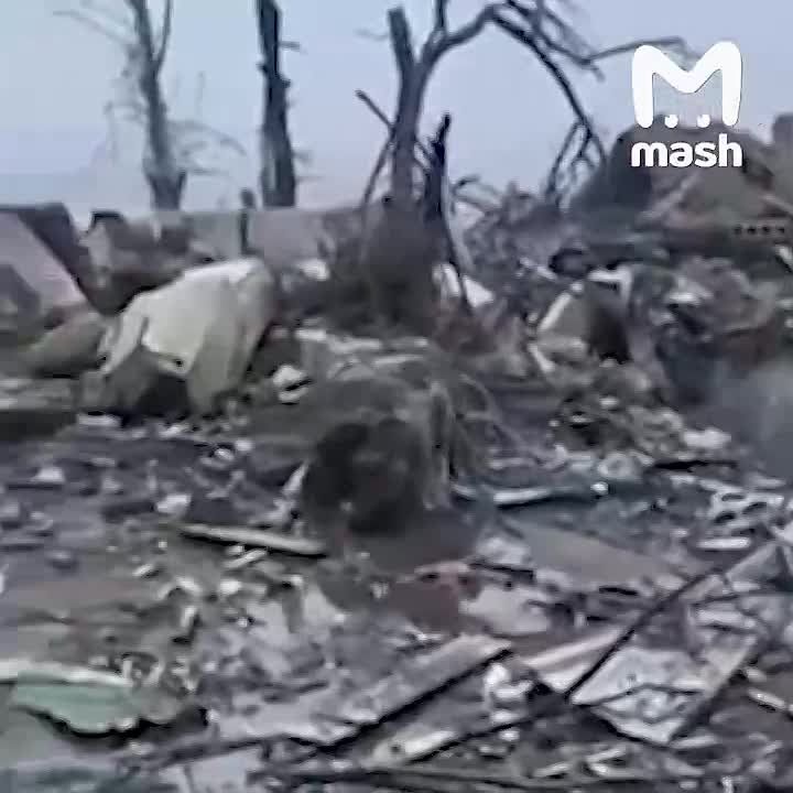 ������ �������� ������� �� �������