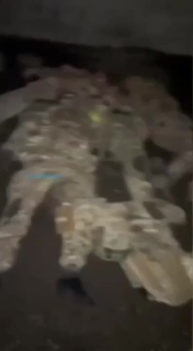Ҹ�� ������� ������ ��������� ������, ������� �� ��� ��������