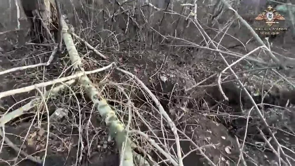 ��� ���� - �� �����!. ������ �������� � ������� �������� �.�. �����