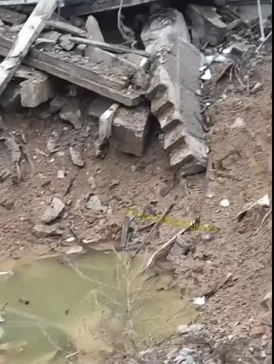 ������� �� ���������������� 203-�� ������� � �������