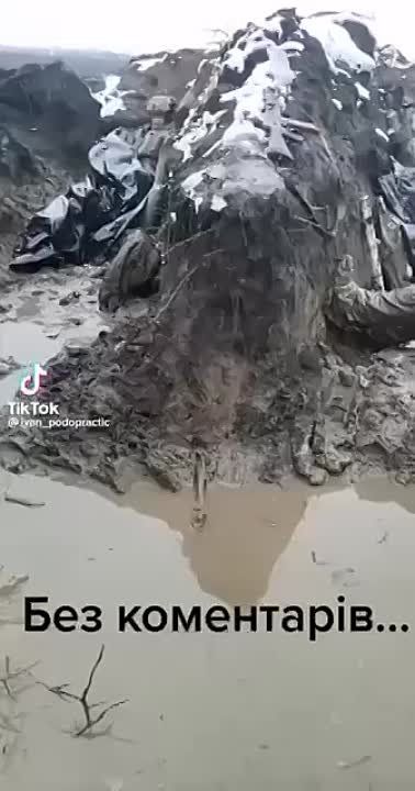 ������� ����. ���������������� ����� ������� (����������)