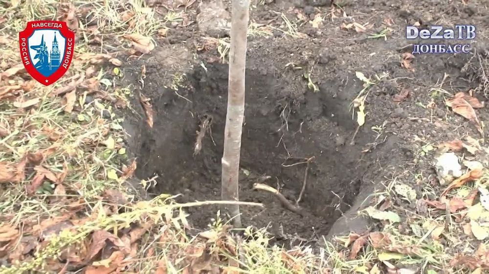 ����� ���������: � ������������� ��������� ��������� ������������� ��������� ��� ������ ������ �������� �������� � �������� ���������, � ����� �������� ����������� ������ ���������� ������� ������� ������� ������� � ������� �������� �� ��������� �������