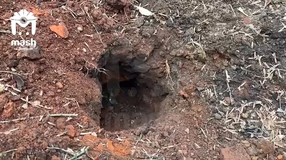 ��� �� �������� �� �������� �������, ��� ������� �������� ������� ������ �����