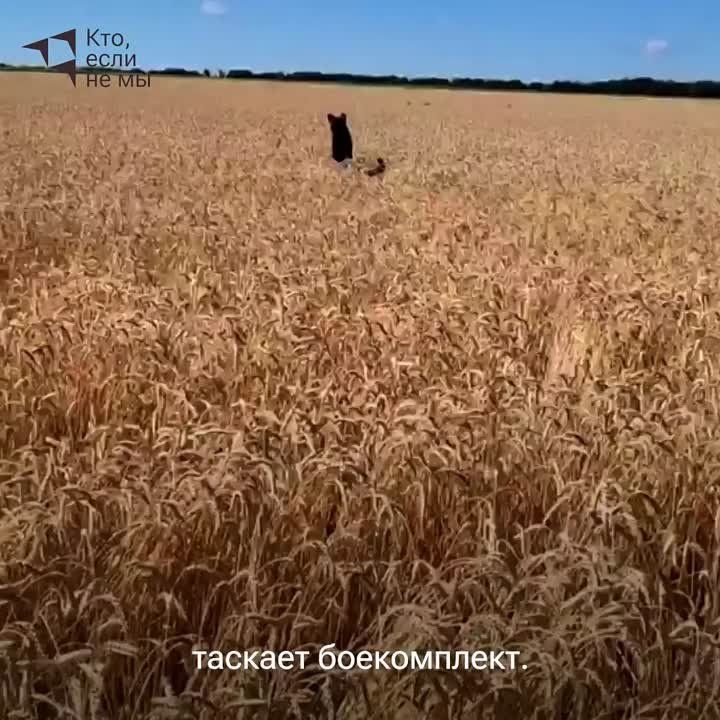 ��������� ������ ��������� � ������� �������
